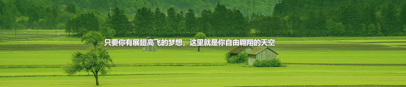 201908061565058939116611.jpg 36.jpg