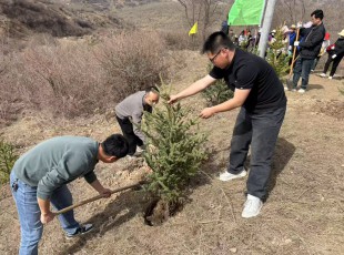 州農投公司參加2025年春季義務植樹活動